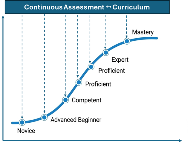 Minh họa mốc phát triển năng lực theo giai đoạn